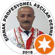CHEF İSKAN USTA'NIN YERİ Silopi İskan usta profil fotoğrafı