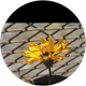 ozcan kabyl profil fotoğrafı