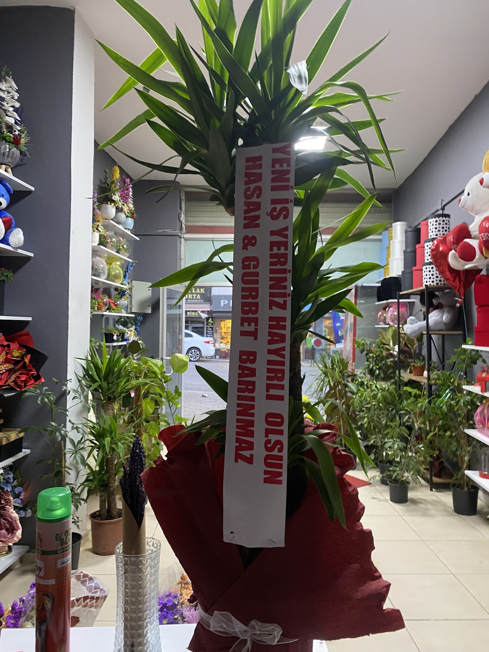 Şırnak Açelya çiçekçilik