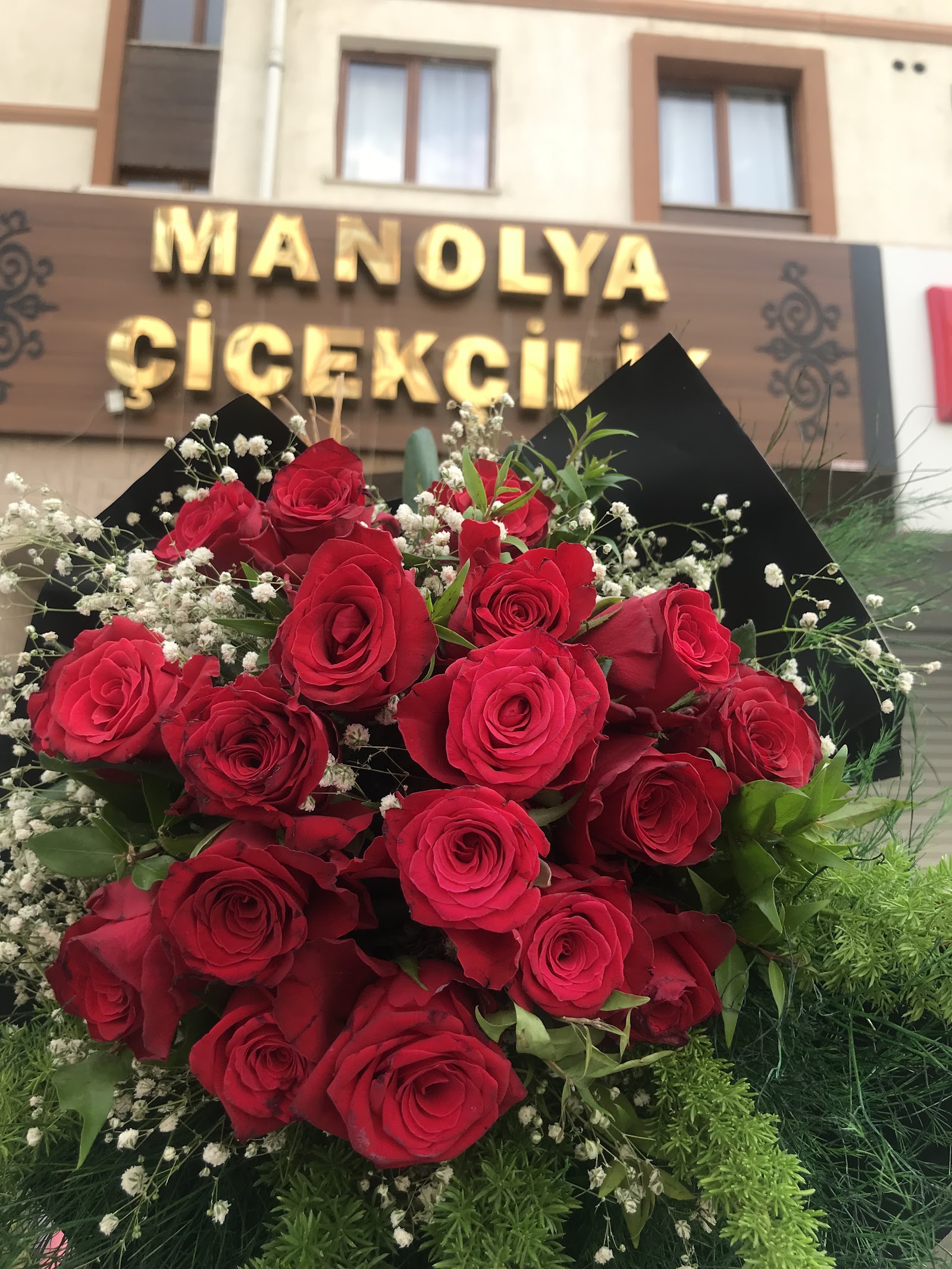 ŞIRNAK ÇİÇEKÇİLİK Manolya