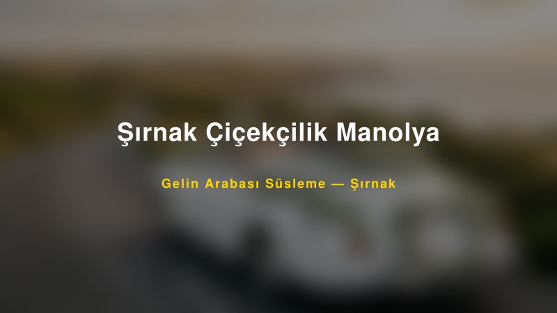 Şırnak Çiçekçilik Manolya Şırnak Gelin Arabası Süsleme