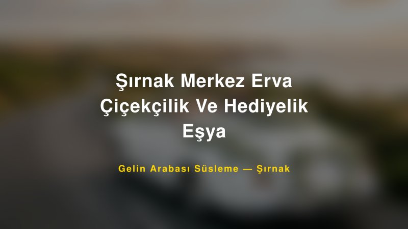 Şırnak Merkez Erva Çiçekçilik Ve Hediyelik Eşya ile Trend Gelin Arabası Yazıları ve Konseptleri